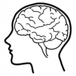 head and brain
